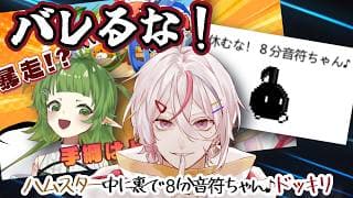 【#Hamsteria】ドッキリ決行！ゲームの裏で別ゲー!?協力なのにやえぴにバレるな！！with 四ッ谷やえ【 新人VTuber / #月魄あちあ】